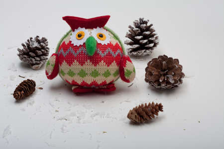 Zig Zag Red, Cream and Green Owl With Pine Cone Trees and Snowの写真素材
