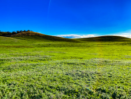 field and blue sky with cloudsの写真素材