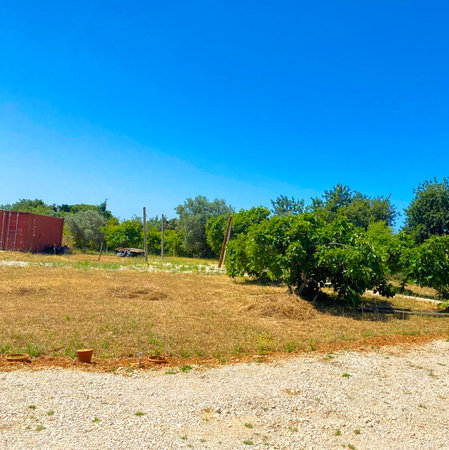 landscape with a barn and treesの写真素材