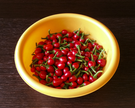 Red hot peppers in a bowlの写真素材