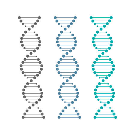 DNA icon isolated on white background. Vector illustrationのイラスト素材
