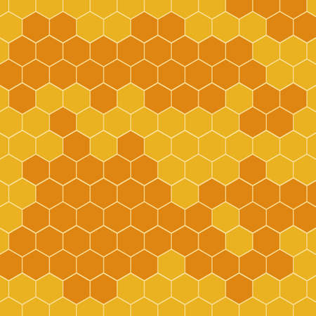 Honeycomb vector background. Bee comb patternのイラスト素材