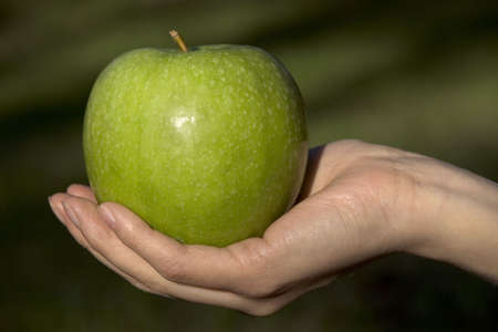 appleの写真素材