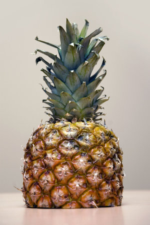 pineappleの写真素材