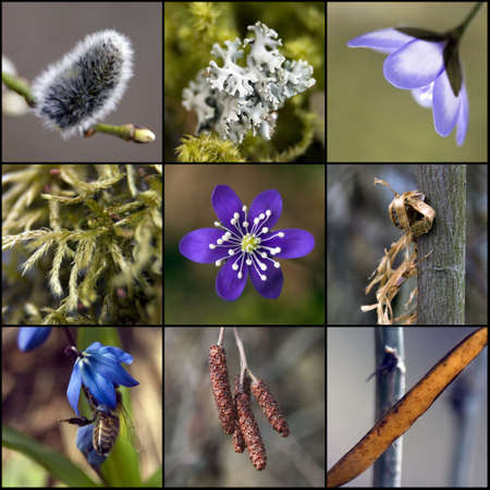 new life in spring - nature detailsの写真素材