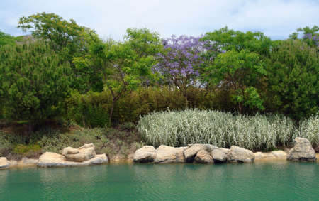 beautiful nature along riverside, with some different colors aroundの写真素材