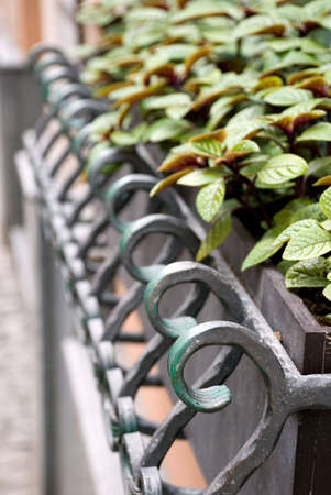 Balcony Window Flowerbox Decoration - Metal Forgeworkの写真素材