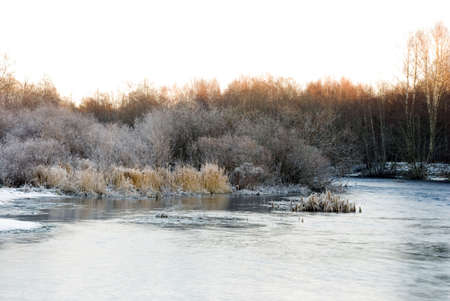 Still Life - Tranquil Winter Sceneの写真素材