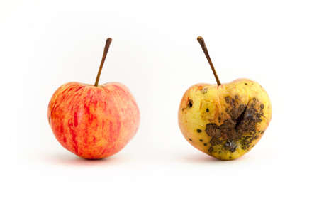 One apple - two sides with opposite appearanceの写真素材