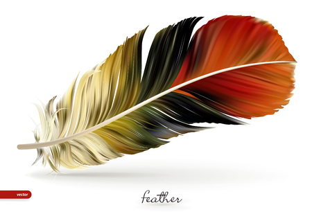 Realistic feathers - vector illustration. Isolated on white backgroundのイラスト素材