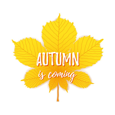 Autumn is coming text on maple leaf background. Vector autumn season banner. Greeting card with inscription, fall. Poster design with orange colorful imprints foliage. Concept advertising.のイラスト素材