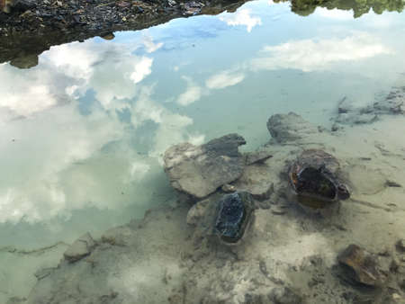 Sky was reflected by basinの素材