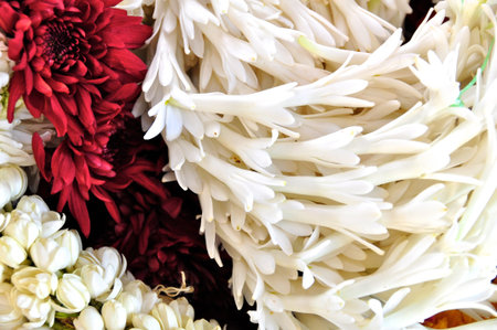 Flower Garlandの写真素材