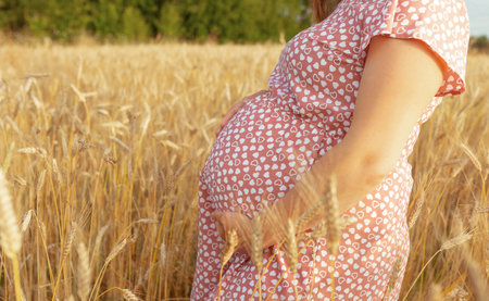 Photo of pregnant belly in nature. Pregnant woman in dress holds hands on belly on natural background of wheat field with haystacks at summer day. Concept of pregnancy, maternity. Close-up, outdoorsの写真素材