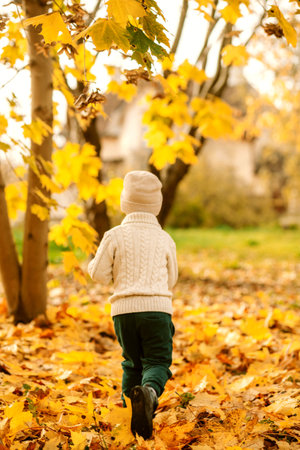 happy joyful child runs through the autumn park on a sunny day. Camping.の写真素材