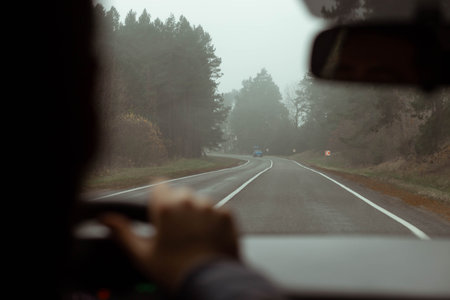 A driver driving a car driving on a foggy road in autumn.