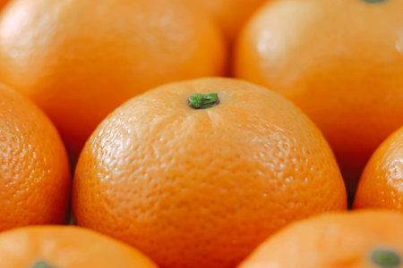 citrus orange mandarins fruit. Stock photo mandarin tropical fruit.の写真素材