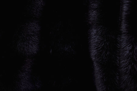 fur texture for background..の写真素材
