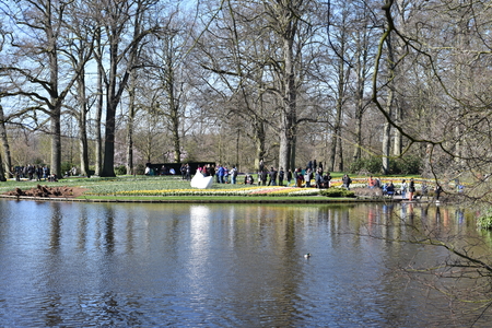 Keukenhof flower garden, Hollandのeditorial素材