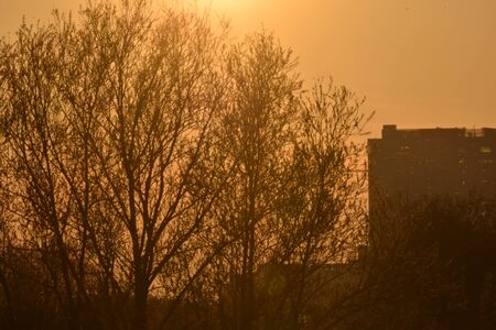 Zoomed in picture of a warm sunsetの写真素材