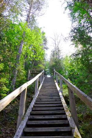 wooden staircase leading into the distanceの写真素材