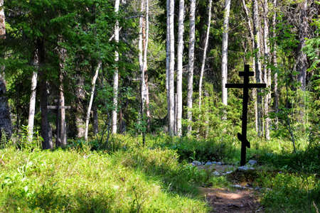 wooden cross in the forestの写真素材