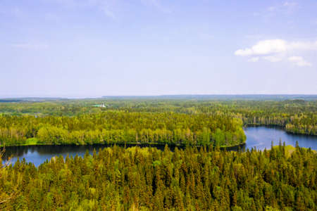 panoramic photo of green forest and blue lakeの写真素材