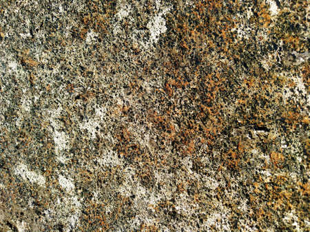 textured stone surface in brown colorsの写真素材
