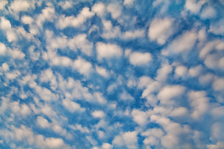 Cirrocumulus clouds as background, texture