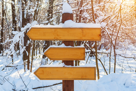 Blank wooden directional arrows on a post, covered by snow in the winter forest illuminated by sunlight (toned)の写真素材