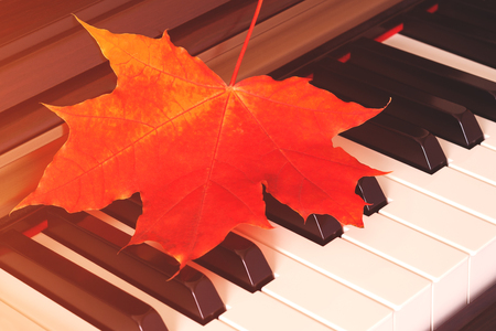 Close up view of autumn red leaf on piano keys (background, concept, toned)の写真素材