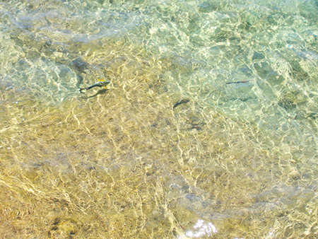 Ð¡lear transparent water in the shallows of the coastal beachの写真素材
