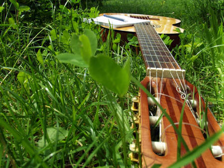 Photo of guitar on the grassの写真素材