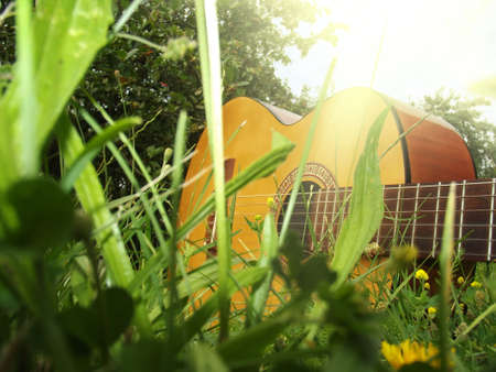 Photo of guitar on the grassの写真素材