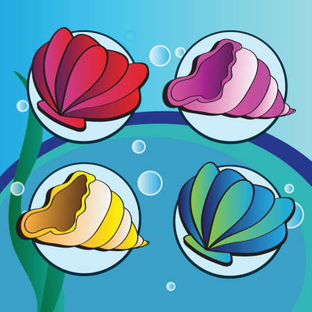 sea shells on underwater background - Set of four elementsのイラスト素材