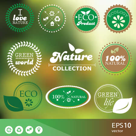 Set of vintage style elements for icons, labels and badges on blurred background- vectorのイラスト素材