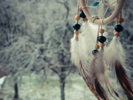 Photo of dream catcher on a winter forestの写真素材