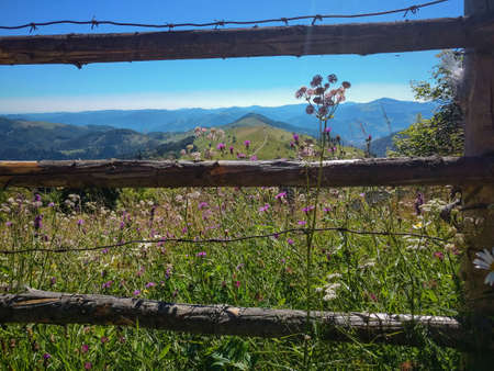 Peaceful green mountains covered of grass under the clear blue skyの写真素材