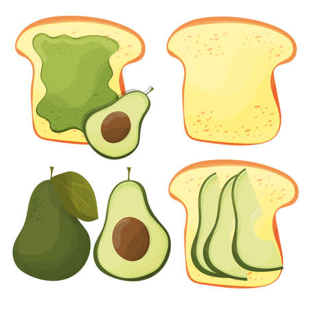 Avocado toast. Fresh toasted bread with avocado. Delicious sandwichのイラスト素材