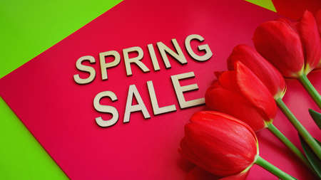 Spring sale banner with pink tulips on colorful backgroundの写真素材
