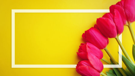 Tulips flowers frame. Flower card. Pink tulips and white frame on a yellow background. Mothers Day....