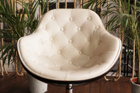 Interior with chair and plant on the background. Place to relaxの写真素材