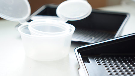 Empty plastic containers for sushi set delivery. Take away lunch box