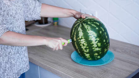 Closeup of woman hand cutting fresh watermelon in the kitchenの写真素材