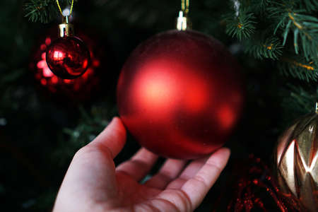 Female hand holds a red Christmas ball on the background of a Christmas treeの写真素材
