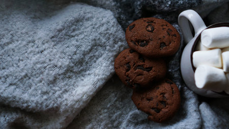 Mug of hot chocolate with marshmallow and chocolate cookies. Christmas spirit, hot winter drinkの写真素材