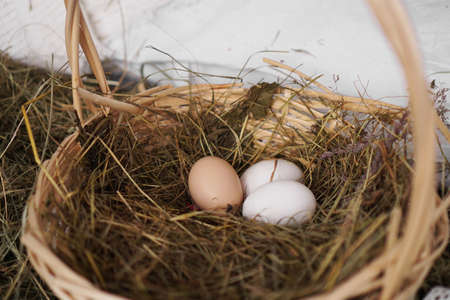 Three eggs in a basket. Rustic style. Agriculture and easter conceptの写真素材