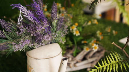 Lavender in an old teapot. Green grass and chamomile on a blurred backgroundの写真素材