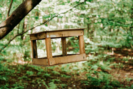 Wooden bird feeder in green summer forest or in the city park. Soft greenの写真素材
