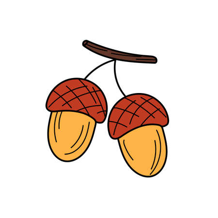 Acorn vector icon. Hand drawn print. Sticker design on white. Simple sketch designのイラスト素材